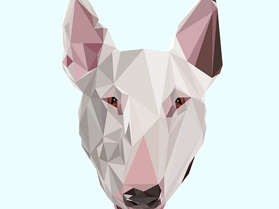 bull terrier