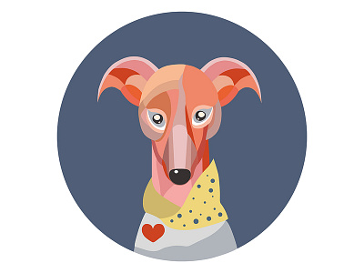 Whippet branding design dogs flat flat design illustration illustrator ui uidesign