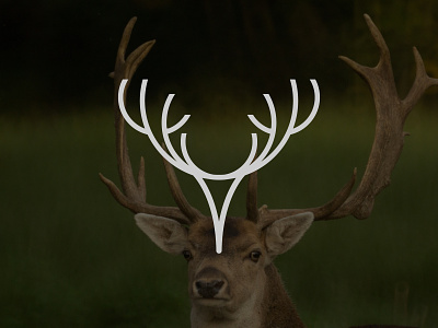 Deer-Mark & First Shot design graphic design hellodribbble logo marks minimal new player vector welcome