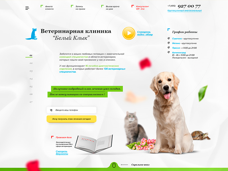 Landing page по стрижке собак