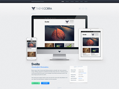 ThemeCobra is LIVE! demo free launch live minimal shop store texture theme themecobra wordpress