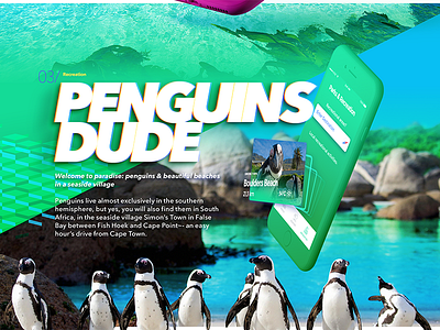 Penguins Dude! application beach boulders cape town iphone x penguins recreation swim ui website