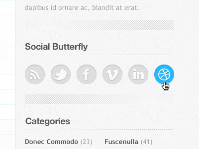 Social Butterfly blue categories dribble facebook icon lines linkedin paper rss social subtle theme twitter vimeo wordpress