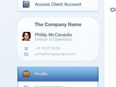 Company Profile ~ At A Glance card clean dashboard details profile