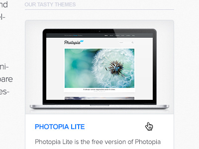Photopia Lite ~ FREE WordPress Theme