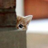 Ramadhan Lutfi Hanafiah