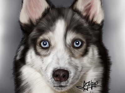 husky