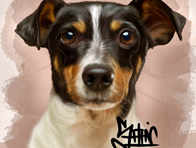 StarDawg digitalart digitalpainting dog dogportrait drawing hyperrealism illustration illustrations jonathansophie realism realistic