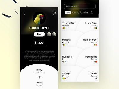 Parrot Profile Page animal bird buy colorful commerce design family macaw parrot trade ui ux wild
