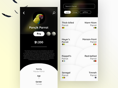 Parrot Profile Page