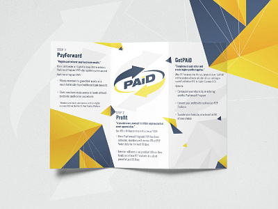 PAiD flayer | ad advance brand branding design flayer illustration print