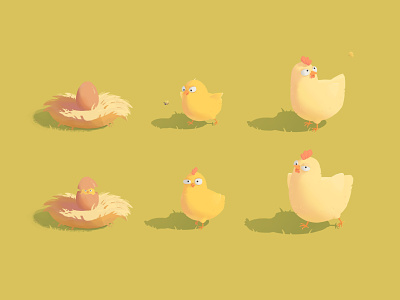 Chicken Growth Stages