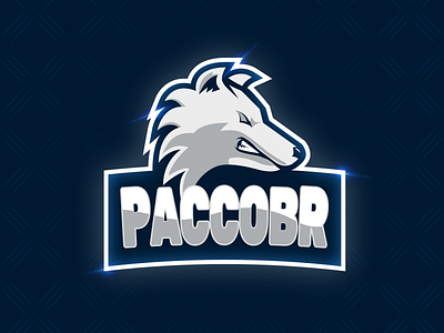 PaccoBR - Gaming Logo