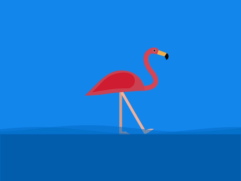 Flamingo animation design illustration ui ux