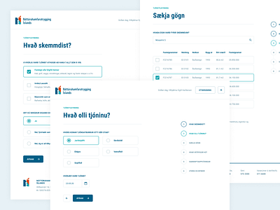 The Natural Catastrophe Insurance of Iceland clean simple minimal damage digitial iceland process questionnaire report webapp