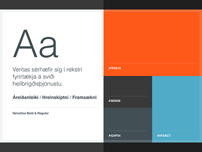 Veritas online branding assets branding colors helvetica styleguide type