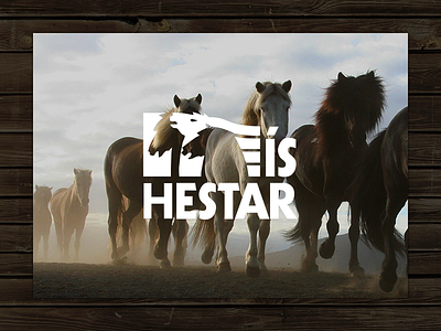 Íshestar horses iceland leather riding tourism tours travel wood