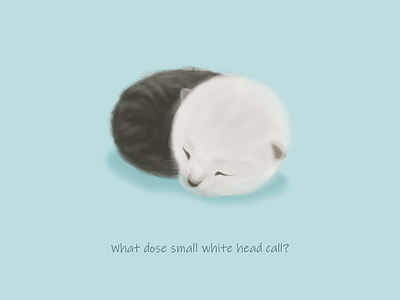 The small white head 插图