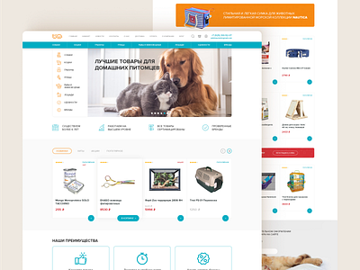 Website pet shop design pet shop web web design website