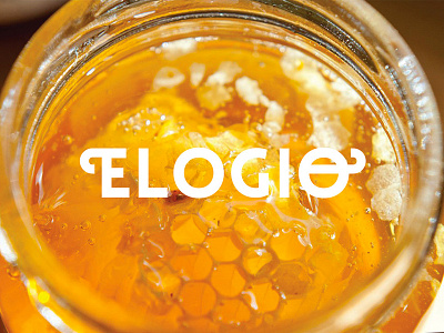 Elogio Honey logo bees brand identity branding food honey jam logo traditional typography