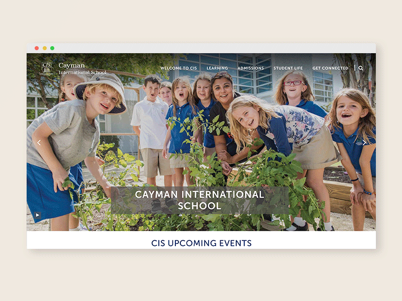 Cayman International School school school website ui ux web web design website