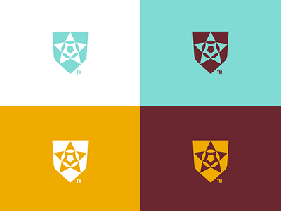 Star & Shield - Logo Concept