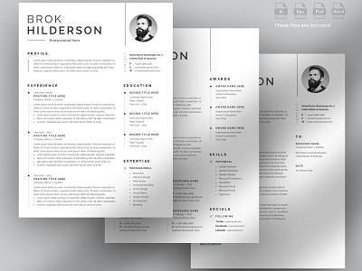 Clean 3 Pages Elegant Resume/CV Template clean resume creative resume job seekers