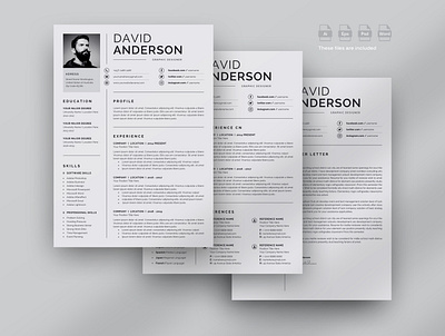 3 Pages Elegant Resume/CV Template clean resume creative resume job seekers