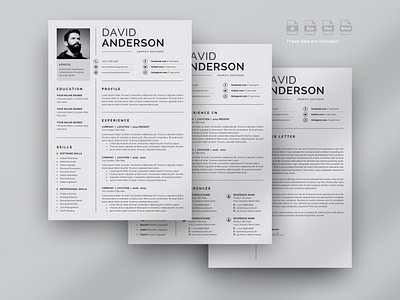 3 Pages Elegant Resume/CV Template