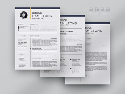 Professional 3 Pages Resume/Cv Template clean resume creative resume job seekers