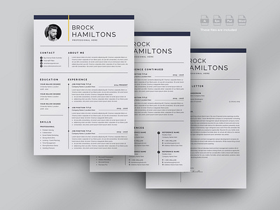 Professional 3 Pages Resume/Cv Template