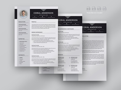 Resume/Cv clean resume creative resume job seekers