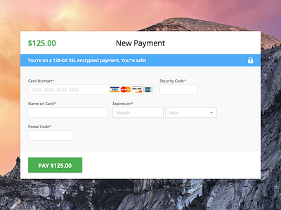Canopy Payment Screen canopy payments visual design