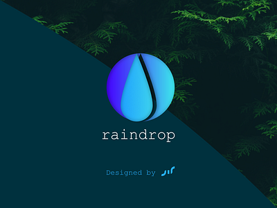 Raindrop logo design