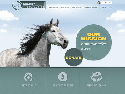 AAEP Foundation Web Design equine horse online web web design website