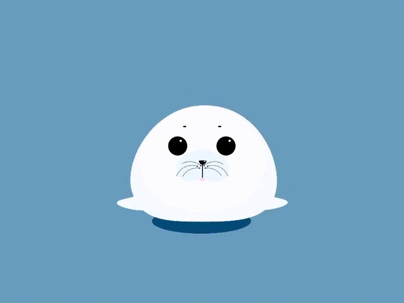 Harp Seal looping aftereffects animal animation design flat icon illustration loop motiongraphics vector