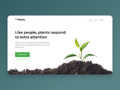 Conceptual Plants web UI Shot #01 design minimal nature plants plants web ui userinterface webdesign website