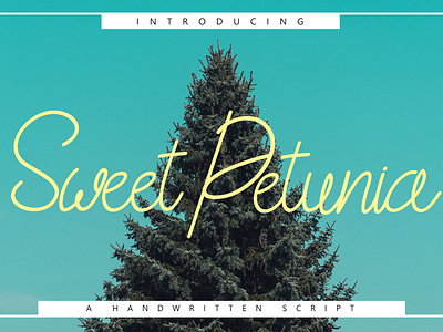 Sweet Petunia Handwritten Script blogging brand font branding font classy font elegant font fashion font feminine font hand lettered font hand written font instagram font ligature font logo font lovely font luxury font script font sign font signature font stylish stylish font