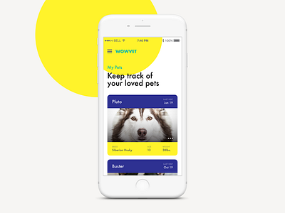 WowVet UX & UI