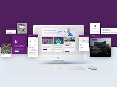 Rush Medical Group Intranet UX and UI Kit intranet ui ux visual design visual identity