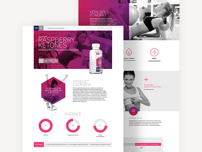 Chosen Vitamins Website brand design brand elements branding visual design visual identity website