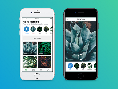 Plant Watering - Capture camera capture ios mobile plant plants reminder schedule ui watering wip