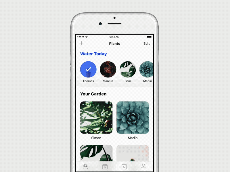 WIP Time-lapse - Potted app garden gif reminder timelapse water wip wireframe