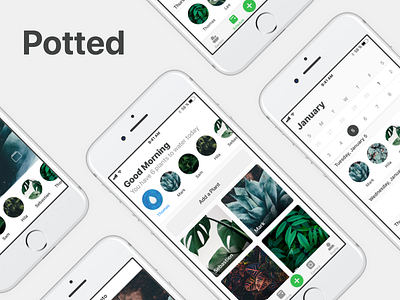 Potted App - v1.0 11 app garden ios plants reminder ui ux water wip