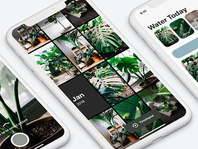 Potted - Photo Library app photo gallery plants potted reminder ui ux water wip