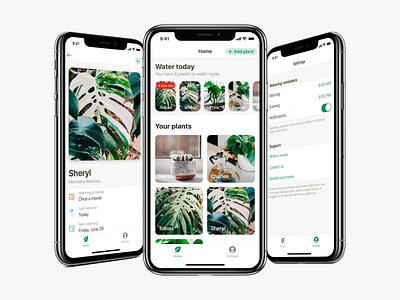Potted v1.1 Cont. app ios plant potted reminder ui ux water