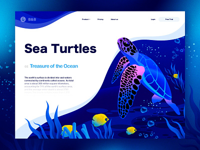 Sea Turtles Illustration