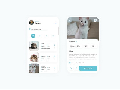 Pet Adoption App UI app design appdesigner design designer dribble pet adoption petapp ui uibeginner uidesign uidesigner