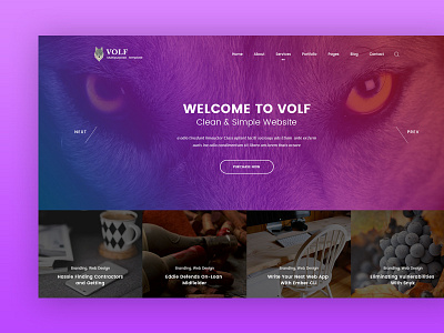 Volf - Creative Multipurpose PSD Template