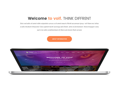 Volf - Creative Multipurpose PSD Template